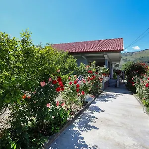 Vakantiehuis Samuela Cozy Retreat, Berat